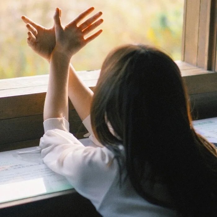 猫儿历险记粤语